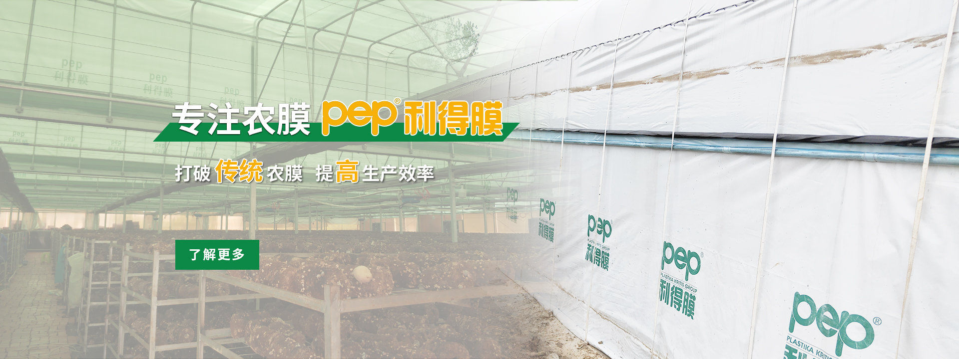 綠白膜、pep利得膜