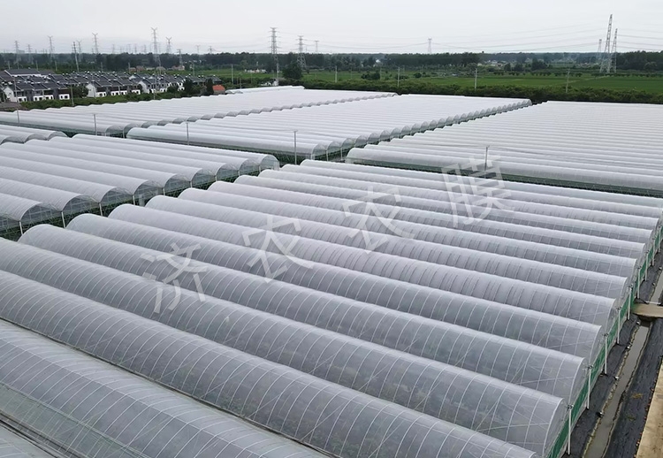藍莓大棚膜供應(yīng)商